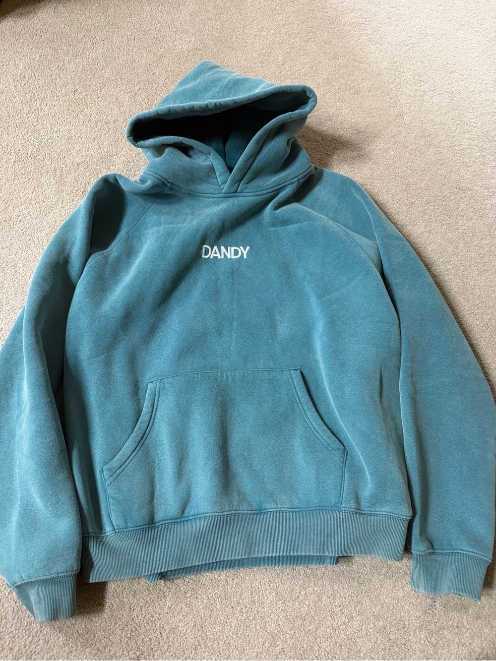 DANDY brand- "Let's Go On An Adventure" Oversized Lux Hoodie in Pine Green